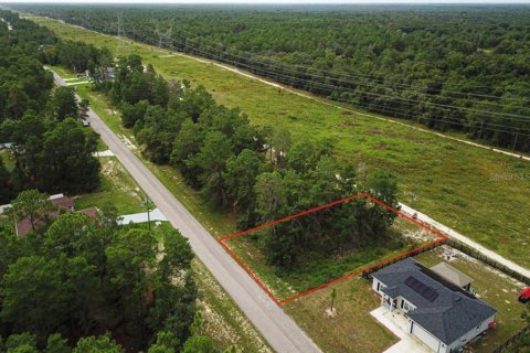 Terreno en venta en Ocala, Florida № 1359306 - foto 2