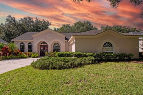 Villa ou maison à vendre à Tampa, Floride: 4 chambres, 213.49 m2 № 1295834 - photo 1