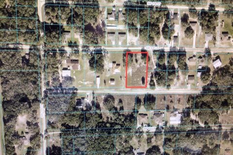 Land in Dunnellon, Florida № 1373074 - photo 2