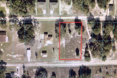 Terreno en venta en Dunnellon, Florida № 1373074 - foto 1