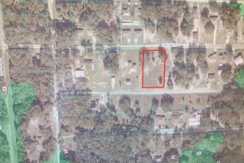 Land in Dunnellon, Florida № 1373074 - photo 3