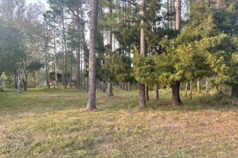 Купить земельный участок в Палм-Кост, Флорида № 1030608 - фото 1