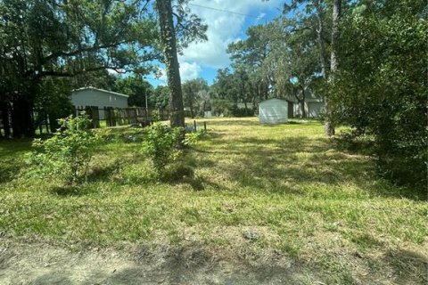 Land in New Port Richey, Florida № 1379529 - photo 1