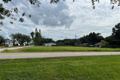 Land in Riverview, Florida № 1352842 - photo 2