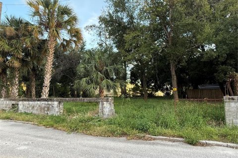 Terreno en venta en Orlando, Florida № 1431868 - foto 3