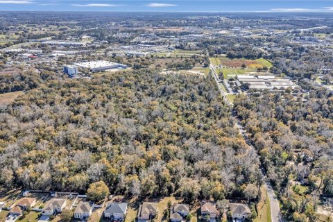 Terreno en venta en Ocala, Florida № 1022637 - foto 7