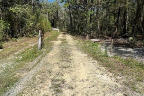 Terrain à vendre à Ocala, Floride № 1297336 - photo 4