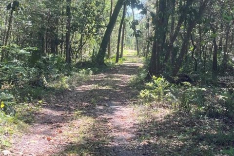 Terrain à vendre à Ocala, Floride № 1297336 - photo 6