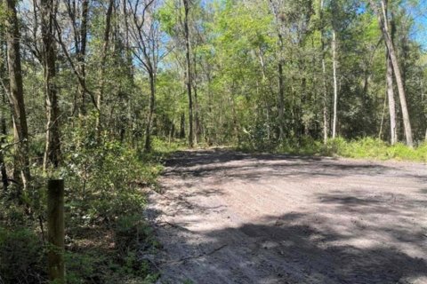 Terrain à vendre à Ocala, Floride № 1297336 - photo 5