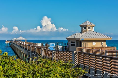 Villa ou maison à vendre à North Palm Beach, Floride: 3 chambres, 151.15 m2 № 1210588 - photo 7