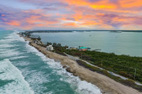 Land in Stuart, Florida № 1091817 - photo 6