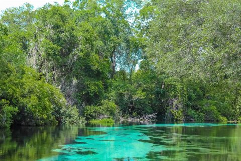 Terreno en venta en Weeki Wachee, Florida № 1306631 - foto 16