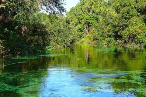 Land in Weeki Wachee, Florida № 1306631 - photo 8