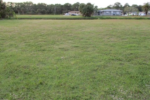 Terreno en venta en Rotonda, Florida № 1242834 - foto 6