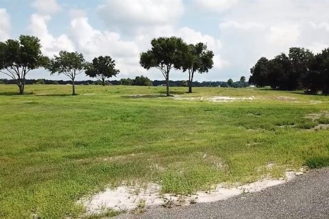 Land in Umatilla, Florida № 1334383 - photo 12