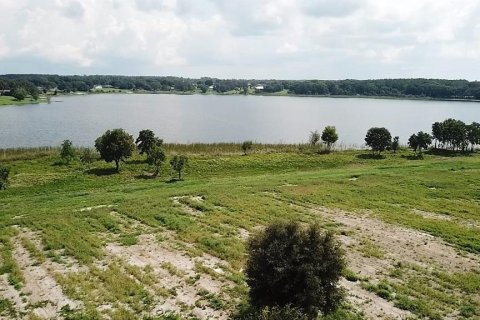 Terrain à vendre à Umatilla, Floride № 1334383 - photo 6