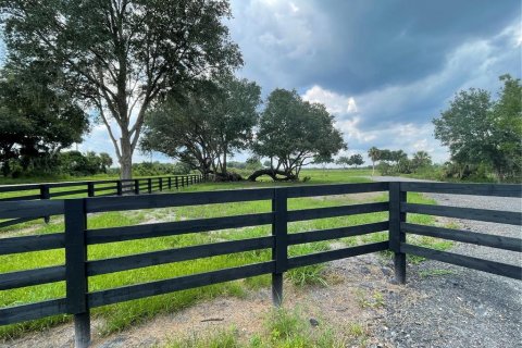 Land in Umatilla, Florida № 1334383 - photo 2