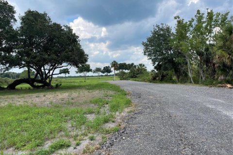 Land in Umatilla, Florida № 1334383 - photo 4