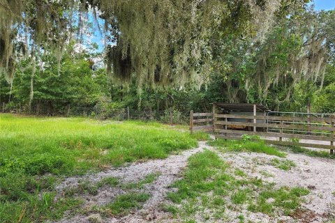 Villa ou maison à vendre à Hawthorne, Floride: 3 chambres, 140 m2 № 1352999 - photo 25