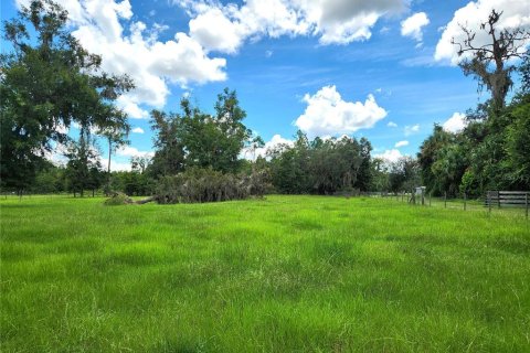 Villa ou maison à vendre à Hawthorne, Floride: 3 chambres, 140 m2 № 1352999 - photo 24