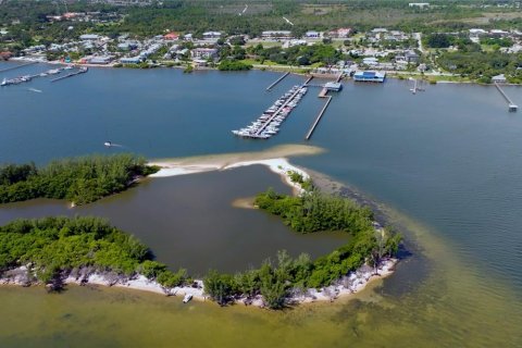 Land in Sebastian, Florida № 1352904 - photo 18