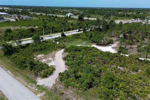 Land in Port Charlotte, Florida № 1244792 - photo 2