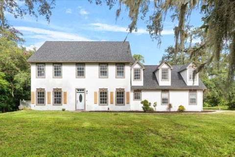 Villa ou maison à vendre à Orlando, Floride: 4 chambres, 258.83 m2 № 1397876 - photo 1