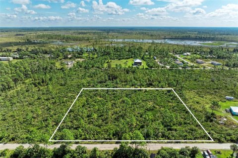 Land in Punta Gorda, Florida № 1397874 - photo 1