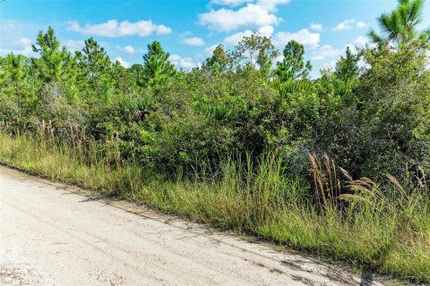 Land in Punta Gorda, Florida № 1397874 - photo 8