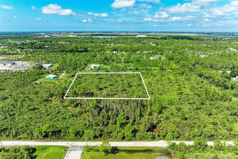 Land in Punta Gorda, Florida № 1397874 - photo 3