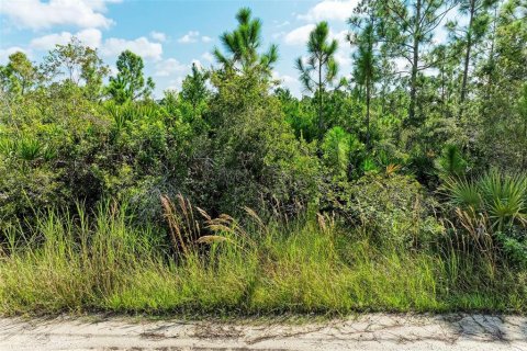 Land in Punta Gorda, Florida № 1397874 - photo 6