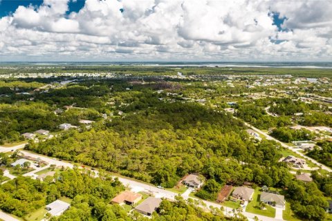 Land in Port Charlotte, Florida № 1321916 - photo 25