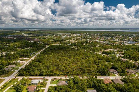 Land in Port Charlotte, Florida № 1321916 - photo 18