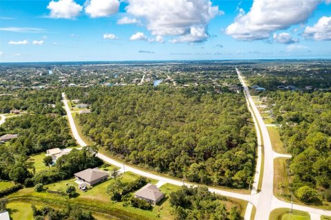 Land in Port Charlotte, Florida № 1321916 - photo 29