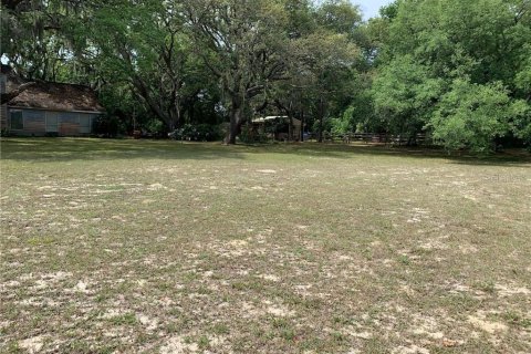 Terreno en venta en Apopka, Florida № 1386977 - foto 6