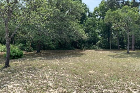 Terreno en venta en Apopka, Florida № 1386977 - foto 5