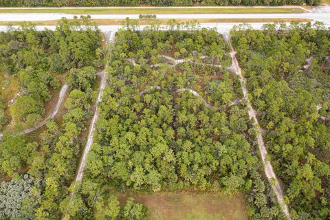 Купить земельный участок в Виро-Бич, Флорида № 1060120 - фото 9