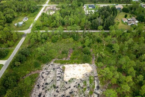 Land in Lehigh Acres, Florida № 1345520 - photo 10