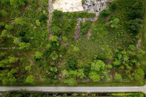 Land in Lehigh Acres, Florida № 1345520 - photo 6