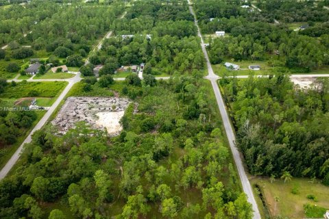 Land in Lehigh Acres, Florida № 1345520 - photo 2