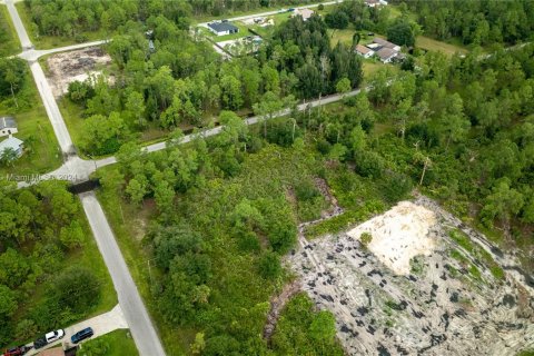 Land in Lehigh Acres, Florida № 1345520 - photo 9