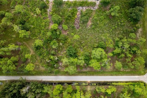 Land in Lehigh Acres, Florida № 1345520 - photo 5