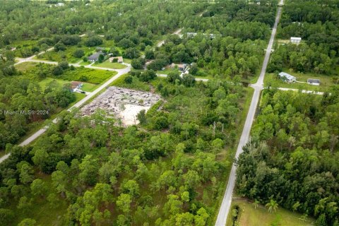 Land in Lehigh Acres, Florida № 1345520 - photo 1