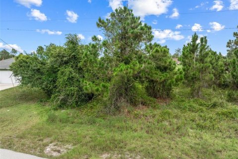 Terreno en venta en Lehigh Acres, Florida № 1296592 - foto 17