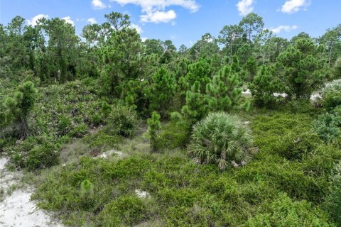 Terreno en venta en Lehigh Acres, Florida № 1296592 - foto 13