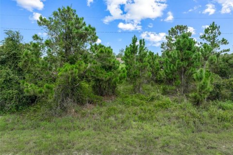 Terreno en venta en Lehigh Acres, Florida № 1296592 - foto 15