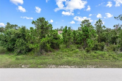 Terreno en venta en Lehigh Acres, Florida № 1296592 - foto 14