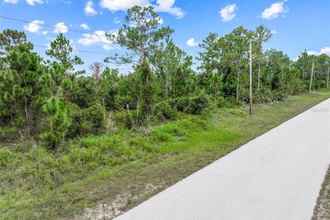 Terreno en venta en Lehigh Acres, Florida № 1296592 - foto 16