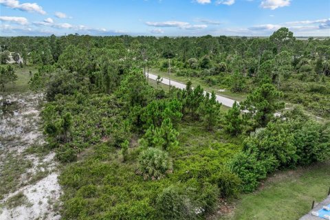 Terreno en venta en Lehigh Acres, Florida № 1296592 - foto 12