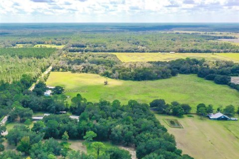 Terrain à vendre à Bunnell, Floride № 1376978 - photo 7